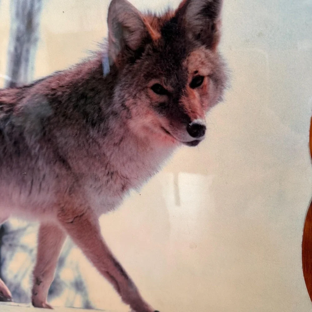 Vintage Coyote Wall Clock Large Rustic Wood 1980s Wildlife Cabin Decor